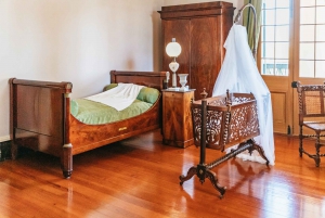 New Orleans: Oak Alley Plantation & Airboat Swamp Combo Tour