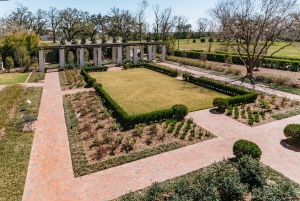 New Orleans: Oak Alley Plantation & Airboat Swamp Combo Tour