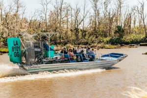 New Orleans: Oak Alley Plantation & Airboat Swamp Combo Tour