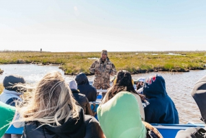 New Orleans: Oak Alley Plantation & Airboat Swamp Combo Tour