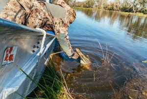 New Orleans: Oak Alley Plantation & Airboat Swamp Combo Tour