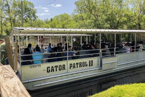 New Orleans: Oak Alley Plantation & Swamp Cruise Day Trip