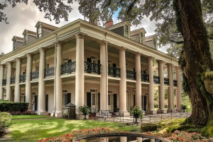 New Orleans: Oak Alley Plantation & Swamp Cruise Day Trip