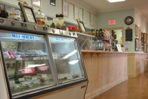 New Orleans: Oak Alley Plantation & Swamp Cruise Day Trip