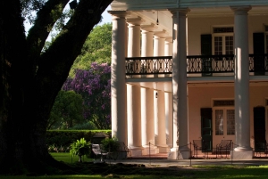 New Orleans: Oak Alley Plantation & Swamp Cruise Day Trip