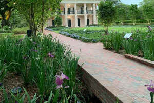 New Orleans: Oak Alley Plantation & Swamp Cruise Day Trip