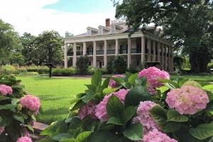 New Orleans: Oak Alley Plantation & Swamp Cruise Day Trip