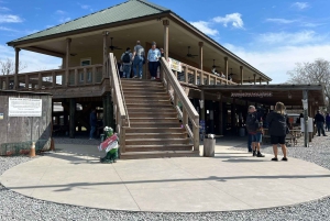 New Orleans: Oak Alley Plantation & Swamp Cruise Day Trip