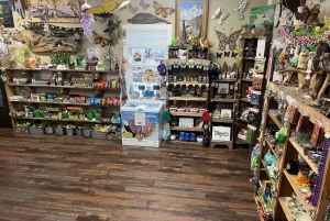 New Orleans: Oak Alley Plantation & Swamp Cruise Day Trip