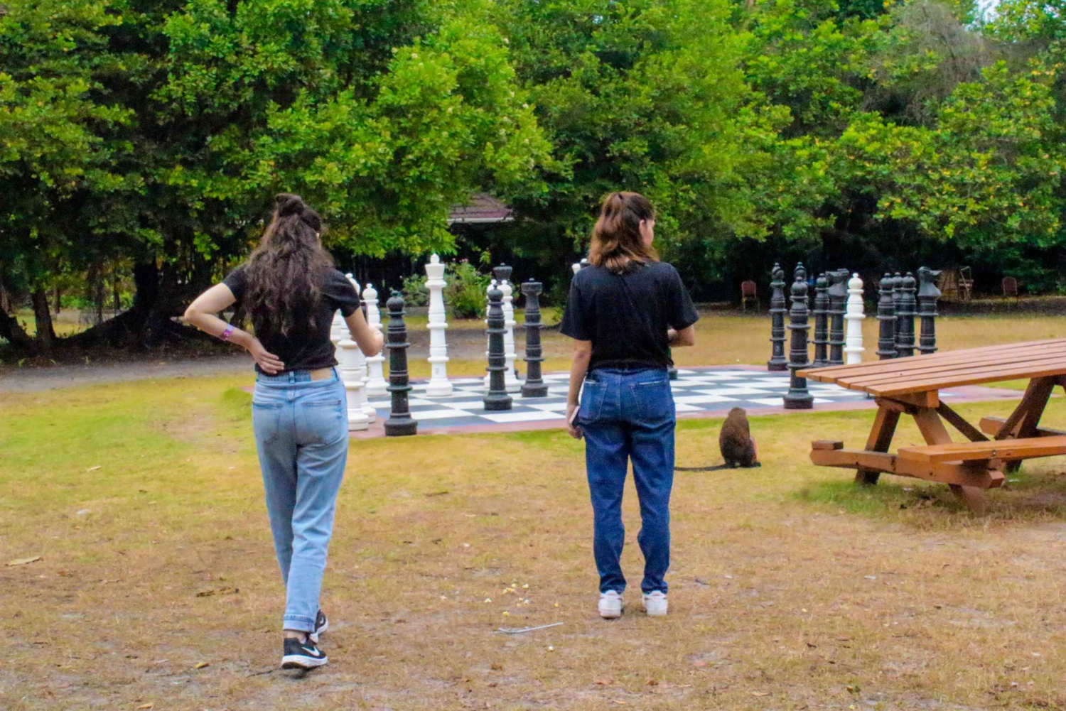 Lagos: Visita guiada al Centro de Conservación de Lekki (LCC)