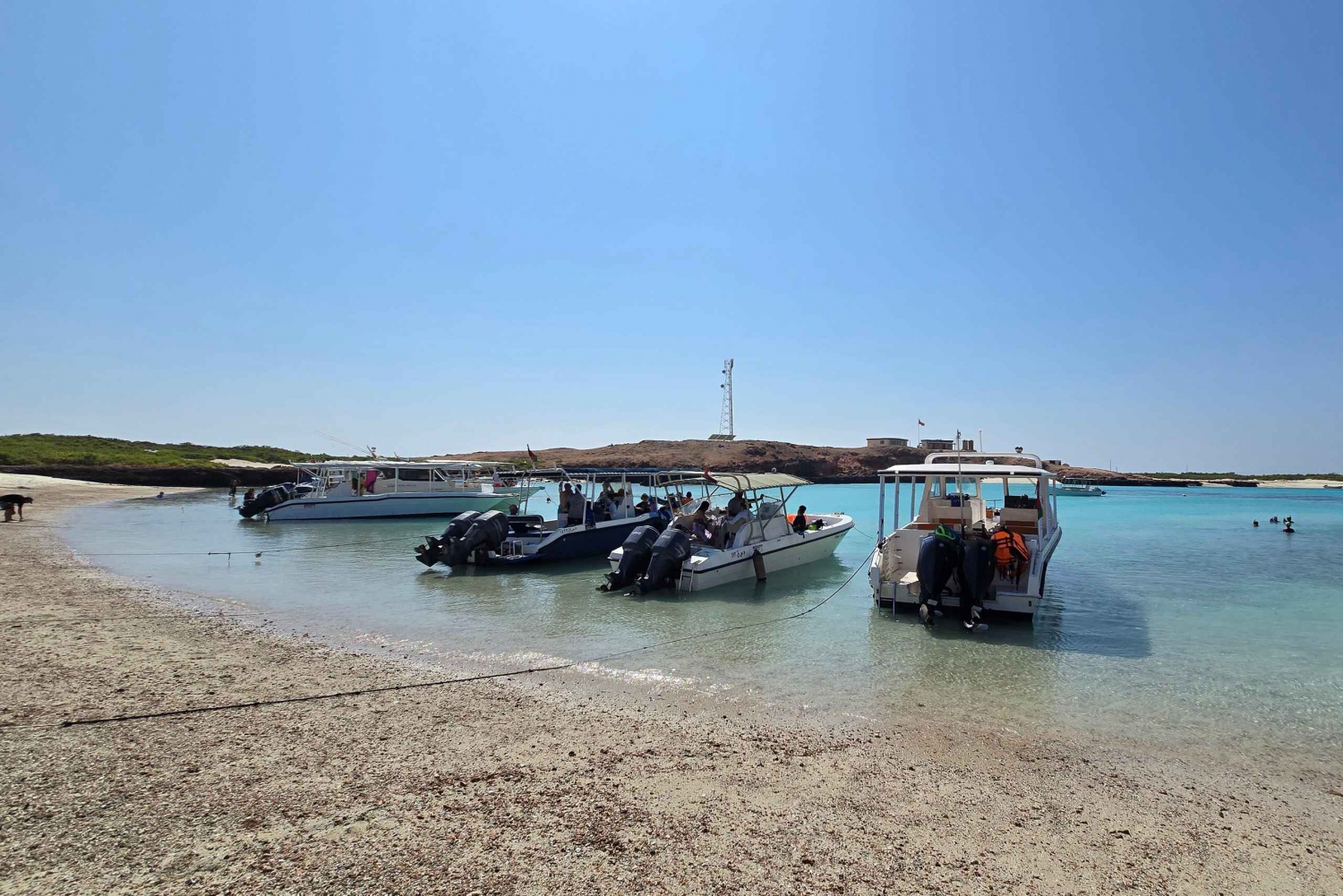 Muscat: Bådtur til Daymaniat-øerne med snorkling