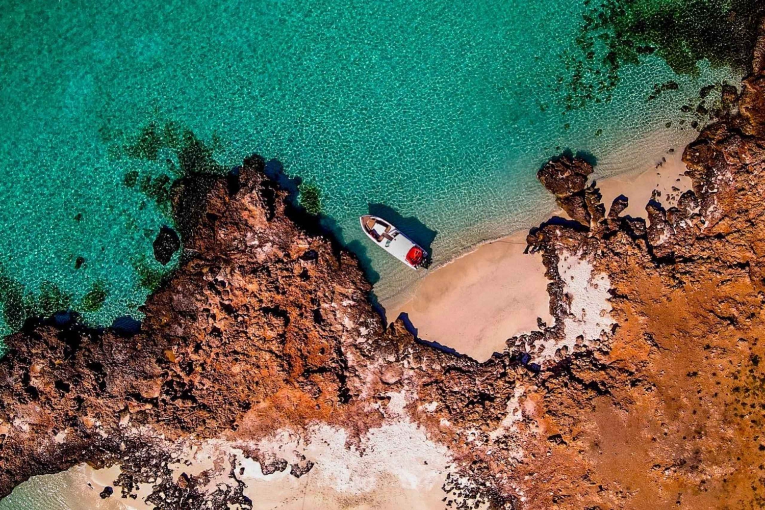 Maskat: wycieczka na wyspy Daymaniat