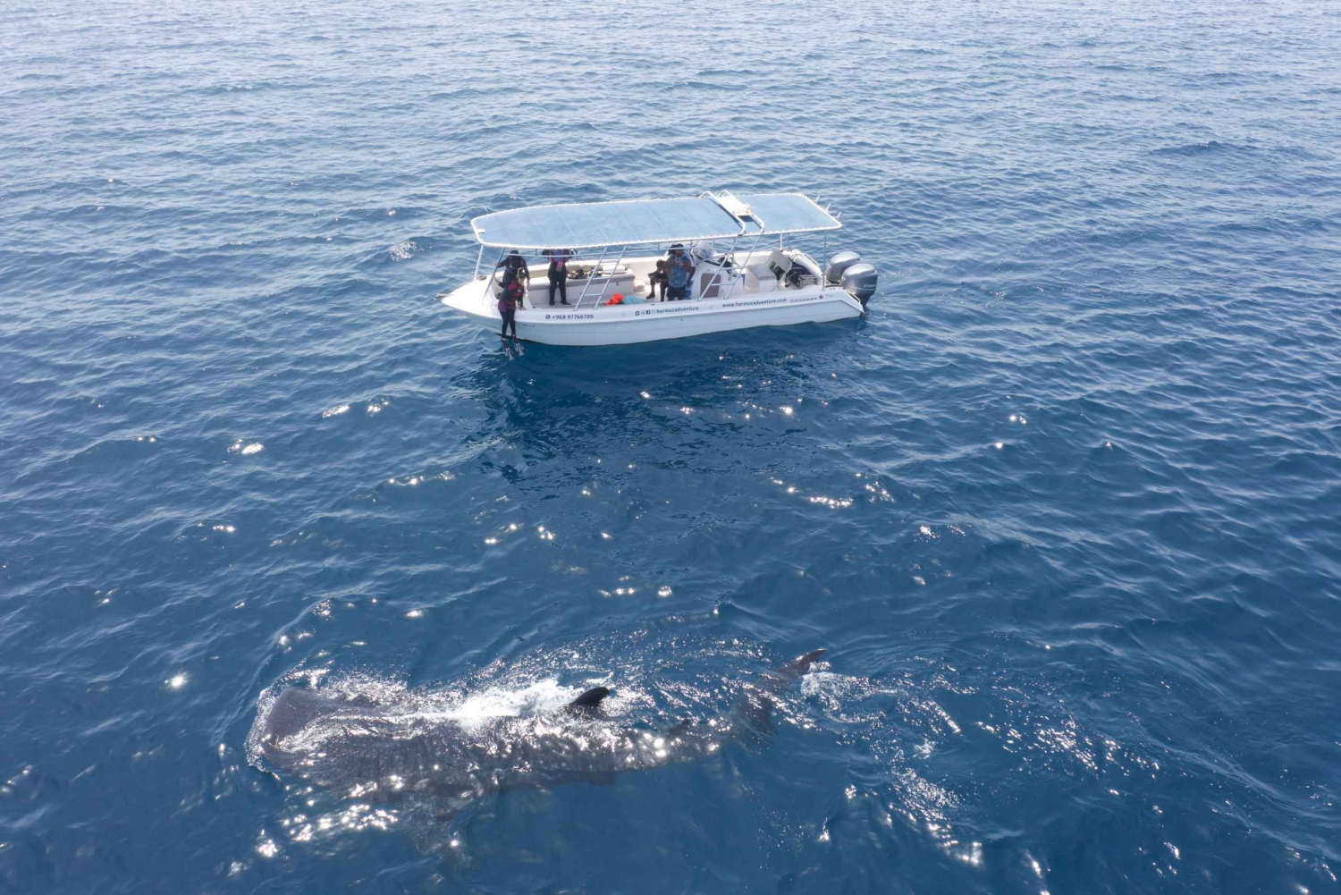 Snorkeling nas Ilhas Daymaniyat com GoPro