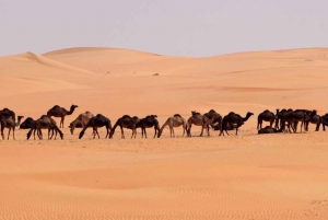 Salalah: prywatne lub grupowe safari po pustyni o zachodzie słońca