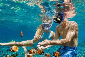 シュノーケリング付きダイマニアット島ツアーをご案内します