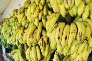 Tutustu Salalahin kaupunkiin, historiaan, luontoon ja kulttuuriin