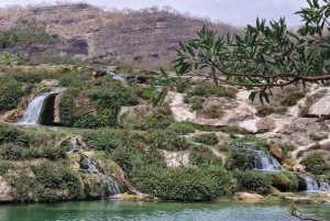 East Salalah by Day & Night: Camels, Waterfalls & Souqs Tour