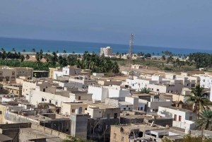 East Salalah by Day & Night: Camels, Waterfalls & Souqs Tour