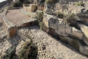 East Salalah by Day & Night: Camels, Waterfalls & Souqs Tour