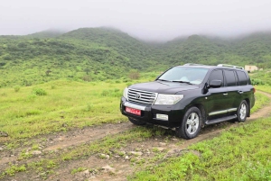 East Salalah by Day & Night: Camels, Waterfalls & Souqs Tour