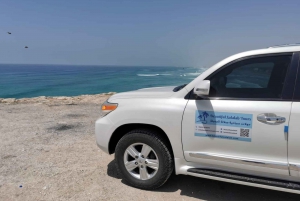 East Salalah: Wadi Darbat Waterfall, Mountain Safari Tour