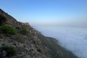 East Salalah: Wadi Darbat Waterfall, Mountain Safari Tour