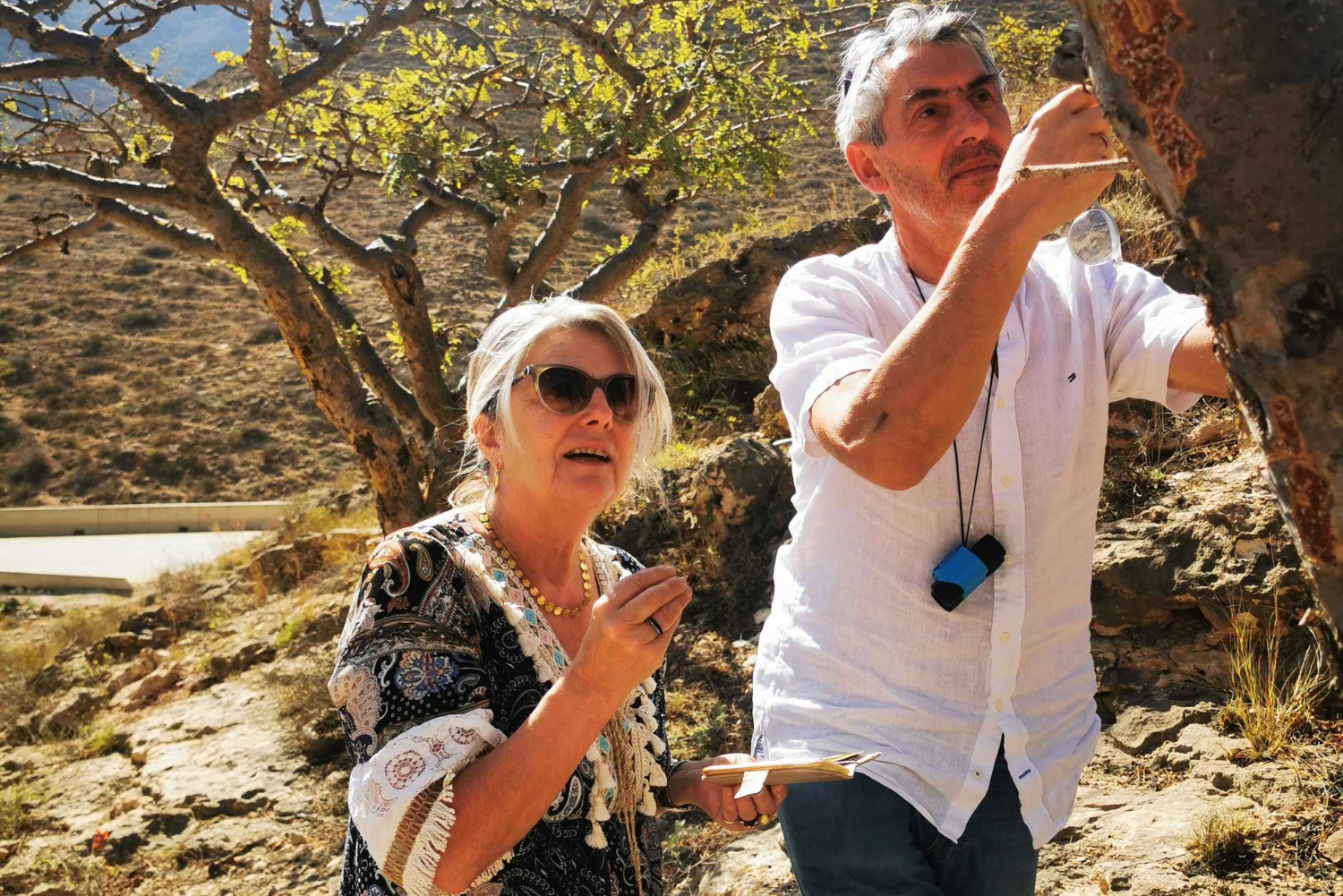 Salalah East privat tur af VisitSalalah