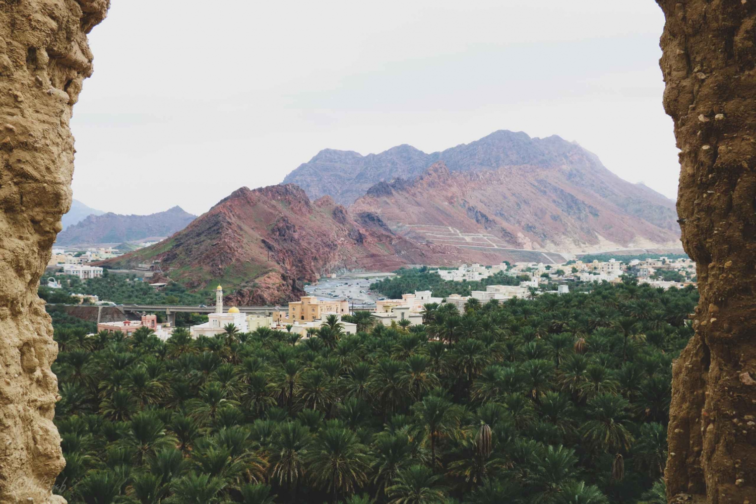 ファンジャ：秘密の宝物を発見