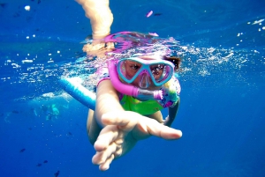 From Khasab: Half-Day Cruise with Snorkeling & Dolphins