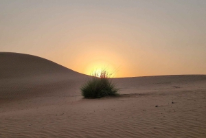 Fra Muscat: 3-dages Nizwa, ørken, skildpadde, Wadi Shab
