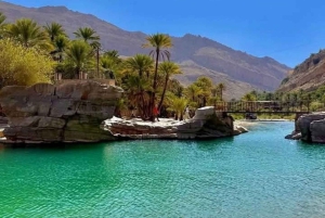 Fra Muscat: 3-dages Nizwa, ørken, skildpadde, Wadi Shab