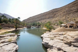 Fra Muscat: 3-dages Nizwa, ørken, skildpadde, Wadi Shab