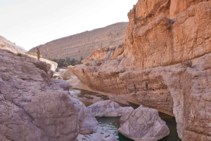 Fra Muscat: 3-dages Nizwa, ørken, skildpadde, Wadi Shab