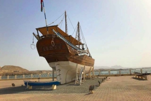 Fra Muscat: 3-dages Nizwa, ørken, skildpadde, Wadi Shab