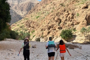 Fra Muscat: 3-dages Nizwa, ørken, skildpadde, Wadi Shab