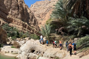 Fra Muscat: 3-dages Nizwa, ørken, skildpadde, Wadi Shab