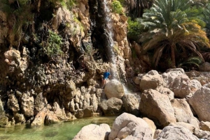 Fra Muscat: 3-dages Nizwa, ørken, skildpadde, Wadi Shab