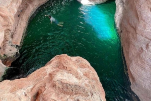 Fra Muscat: 3-dages Nizwa, ørken, skildpadde, Wadi Shab