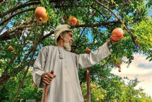 Z Muscat: całodniowa wycieczka do Nizwa Jabal Akhdar Birkat Al Moz