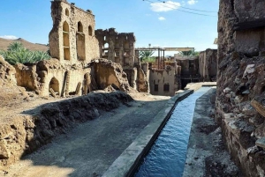 Z Muscat: całodniowa wycieczka do Nizwa Jabal Akhdar Birkat Al Moz