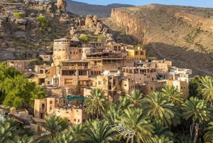 Au départ de Mascate : journée complète à Nizwa-Misfat Al Abriyeen-Al Hamra