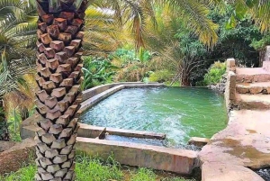 Au départ de Mascate : journée complète à Nizwa-Misfat Al Abriyeen-Al Hamra