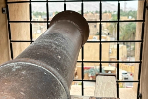 Незабываемая поездка на внедорожнике в Низву и Гранд-Каньон Аравии