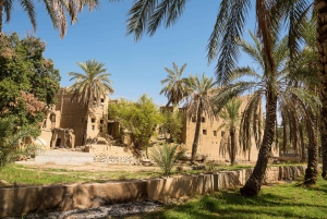 From Muscat: Nizwa & Al Hamra Guided Historical Tour