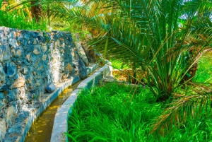 From Muscat: Nizwa & Al Hamra Guided Historical Tour