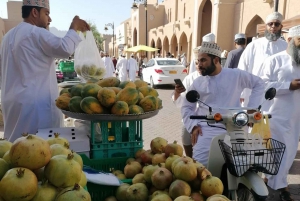 Depuis Mascate : Nizwa et Misfat Al Abriyeen Privé