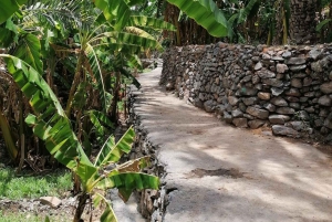 Depuis Mascate : Nizwa et Misfat Al Abriyeen Privé