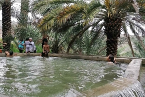 Depuis Mascate : Nizwa et Misfat Al Abriyeen Privé