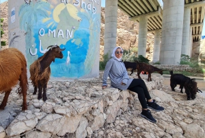 マスカット発：ワディ・シャブ・アドベンチャー、シンクホール＆フィンズ・ビーチ