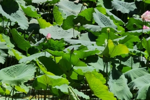 マスカット発：ワディ・シャブ・アドベンチャー、シンクホール＆フィンズ・ビーチ